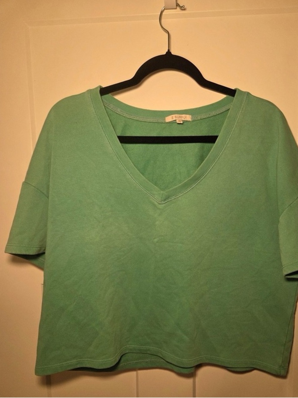 Z Supply Mint Green V-Neck Boxy Crop Top